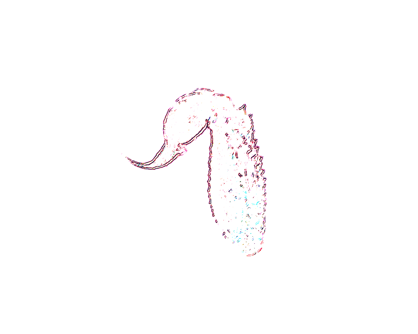 Dynamic Content Image